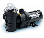 Dynamo 2 Speed Pumps